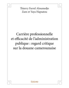 Carrière professionnelle et...