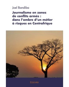 Journalisme en zones de...