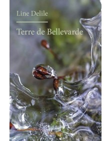 Terre de bellevarde